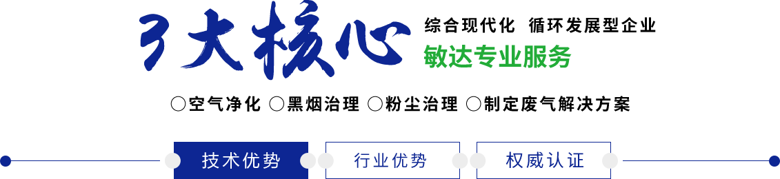 啊啊啊射进来高潮了敏达环保科技（嘉兴）有限公司